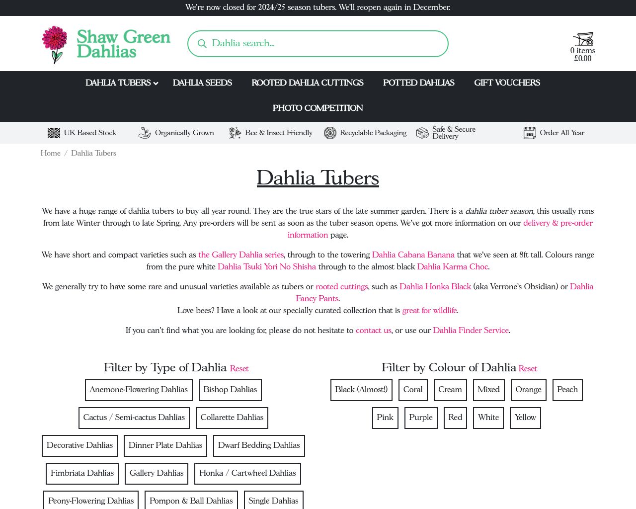 shaw-green-dahlias