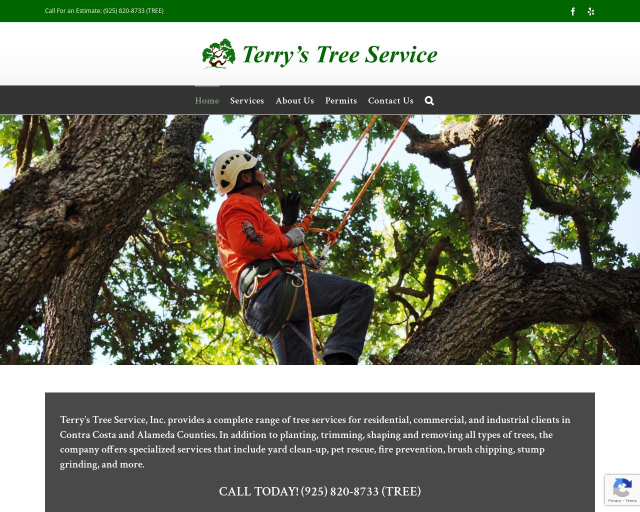 Barrie Tree Care Emergency Tree Service