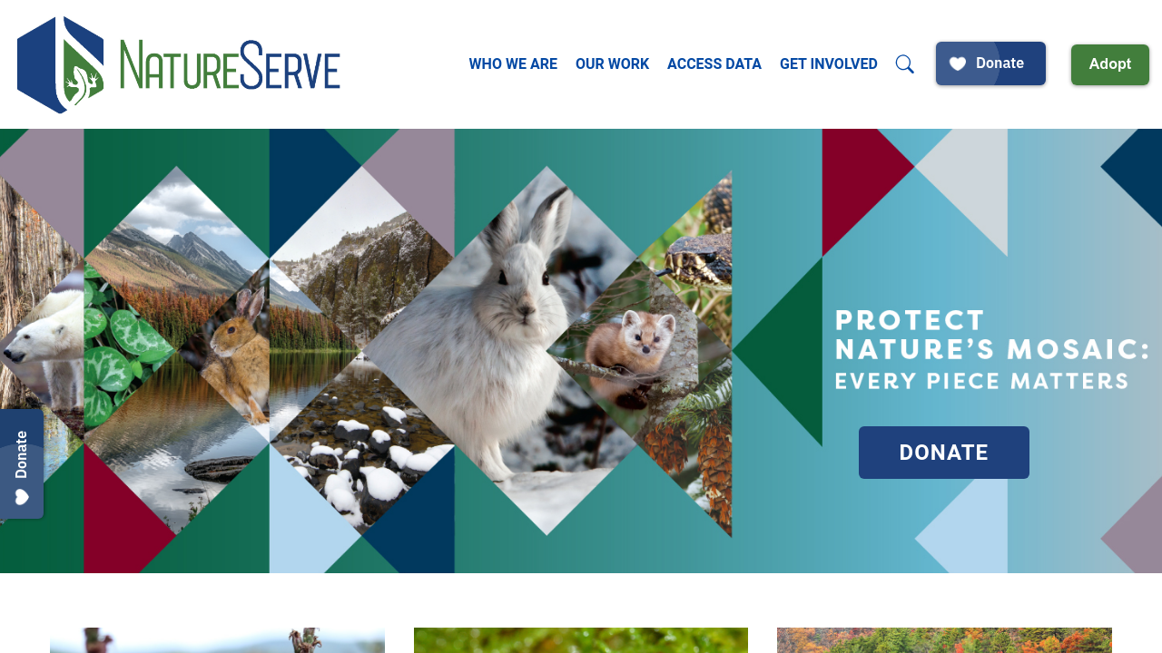 NatureServe website